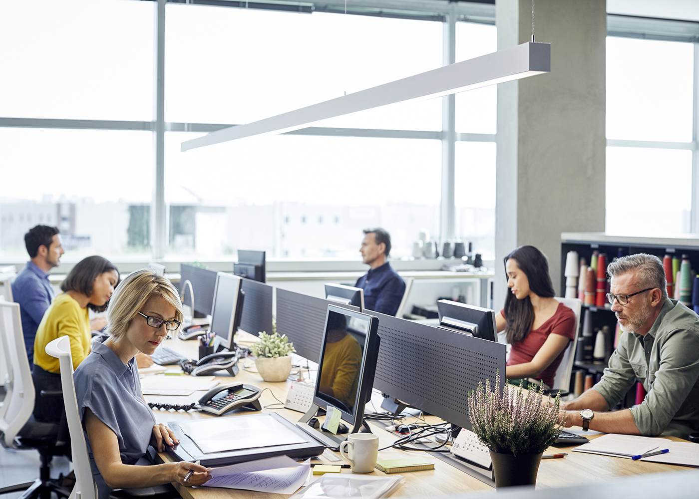 Organisation Structure Solution