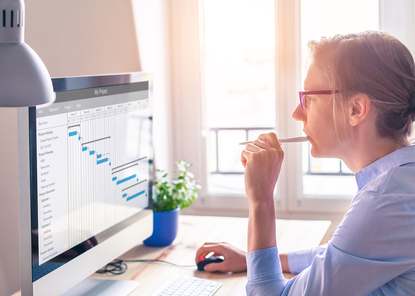 SuccessFactors Succession & Development