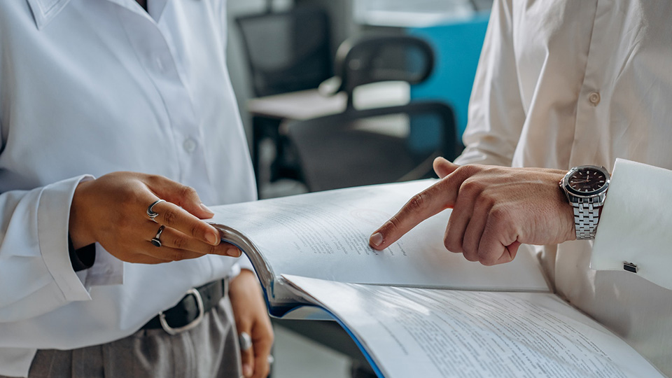 SAP Consulting - Zalaris